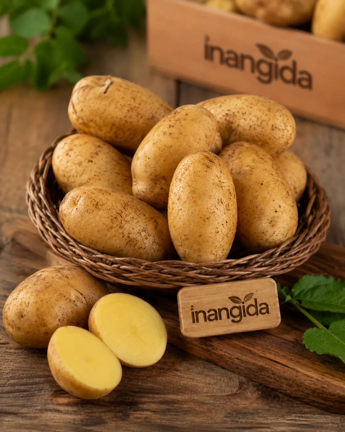 Agria Patates (Kızartmalık)